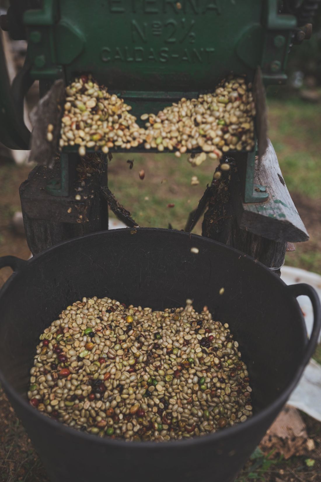 Despulpadora de café en la finca
